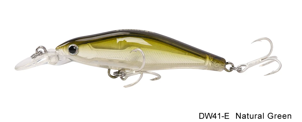 DW41-Y_31