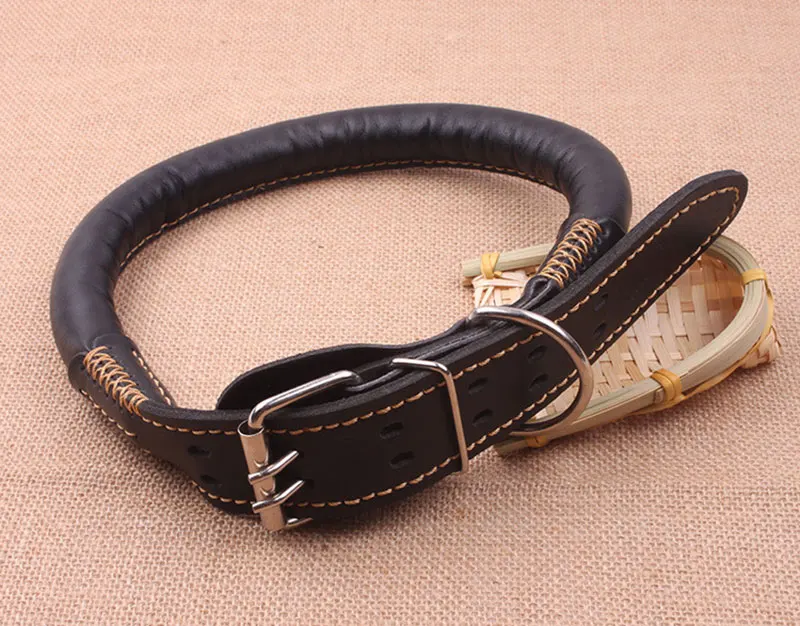 pet products