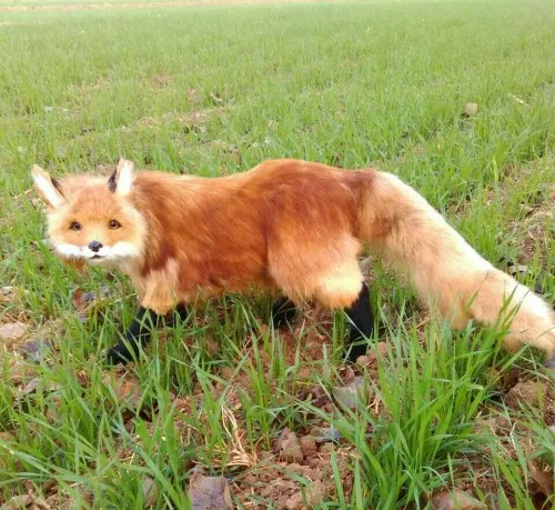 

large 60x40CM artificial brown fox model,polyethylene&furry furs fox handicraft home garden decoration gift a2030