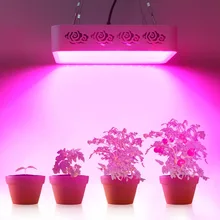 Full Spectrum 300W Led Grow Light Lamp for Hydroponic Indoor greenhouse plants Veg Growing CE FCC RoHs approved Tent