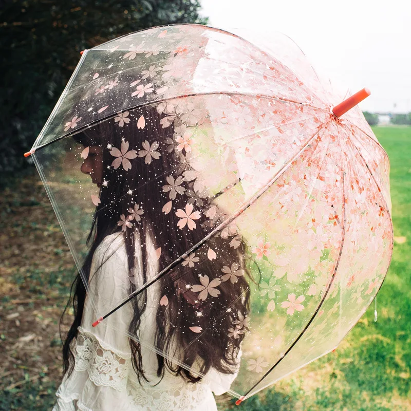 

Transparent umbrella cherry mushroom Apollo Princess umbrella long handle ladies umbrella children umbrella 003