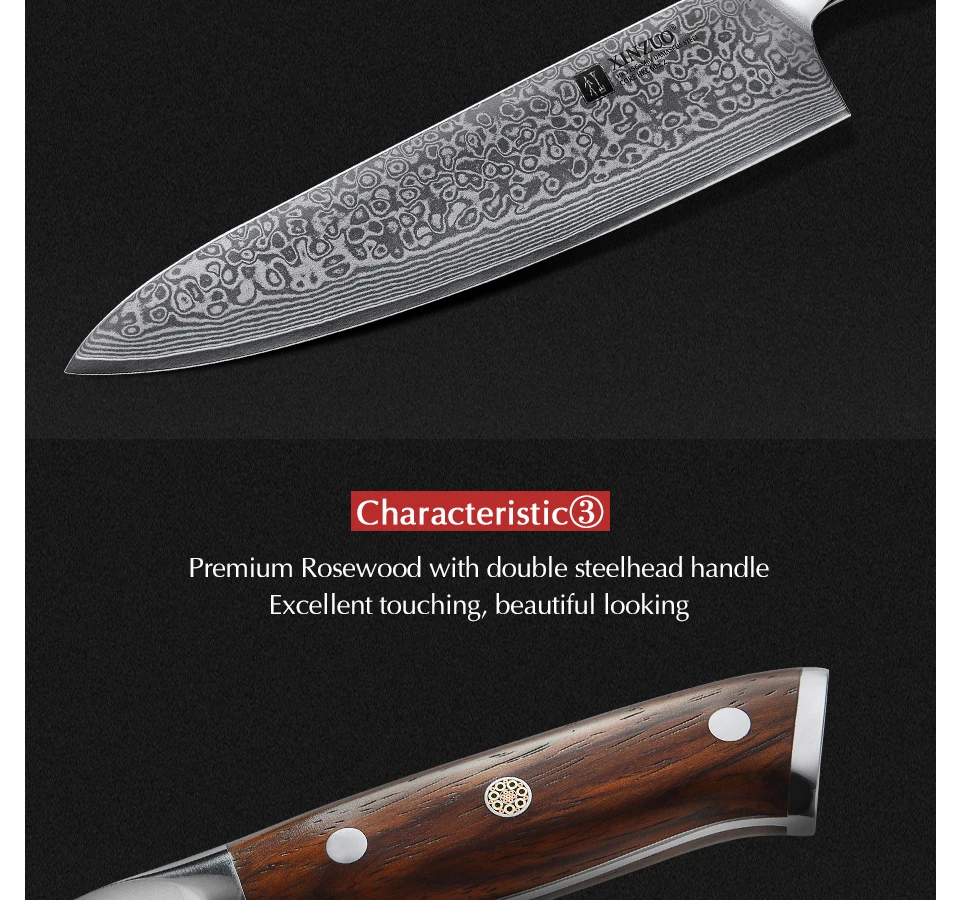 XINZUO 10 дюймов нож шеф-повара японский Дамасская сталь кухонные ножи лучшее качество профессиональный нож Gyuto для отеля и ресторана