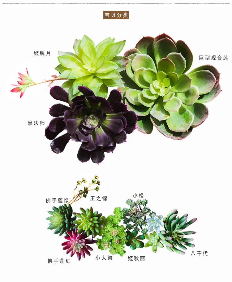 (5)