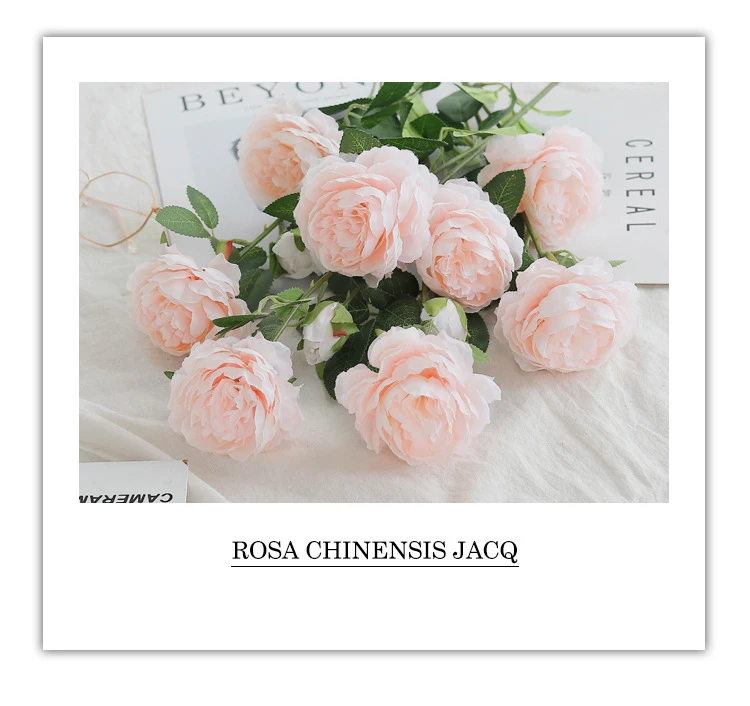 _03