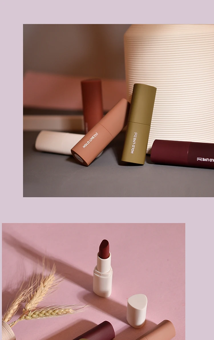 Brand HOLDLIVE 5Pcs Velvet Matte Lipstick Set (21)