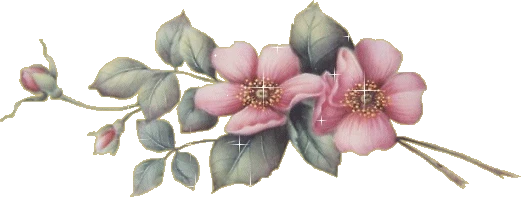 t01c771a797bc254eec