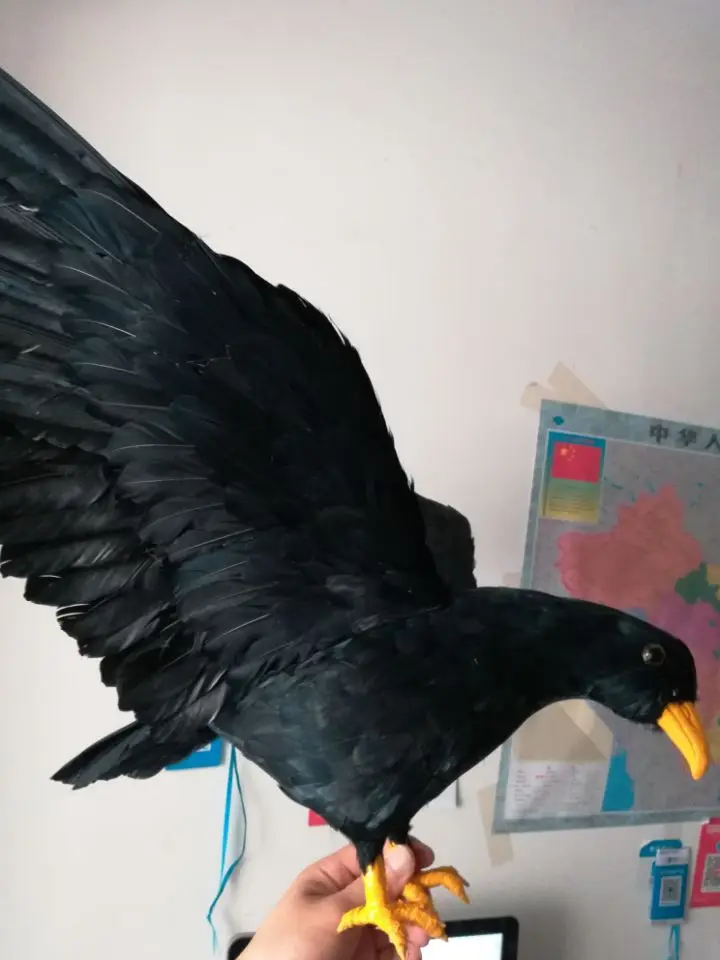 QQ20180619120658