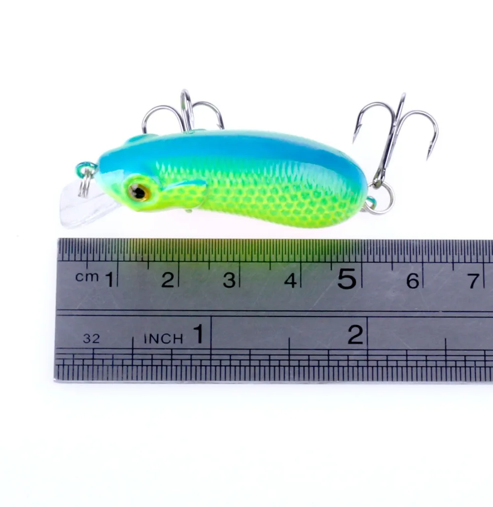 IMG_8116