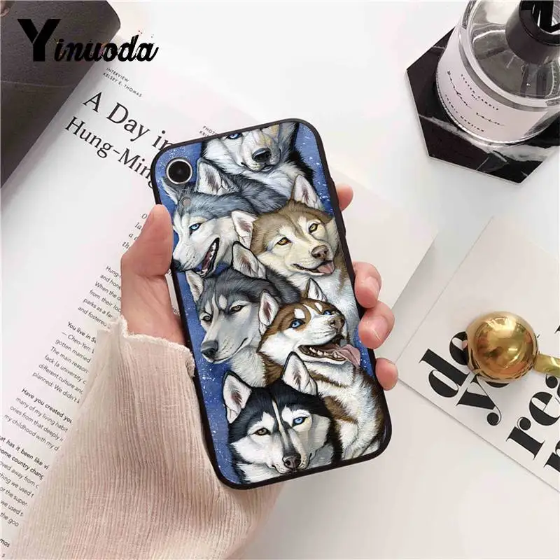 Animal Husky cute Puppy Dog