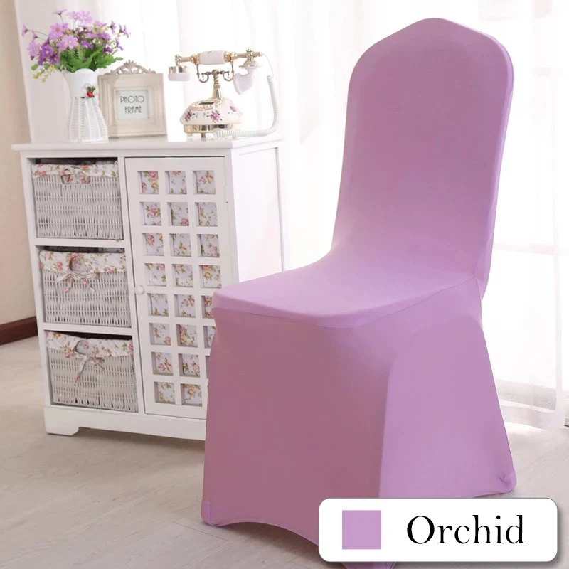 SCF-085-Orchid