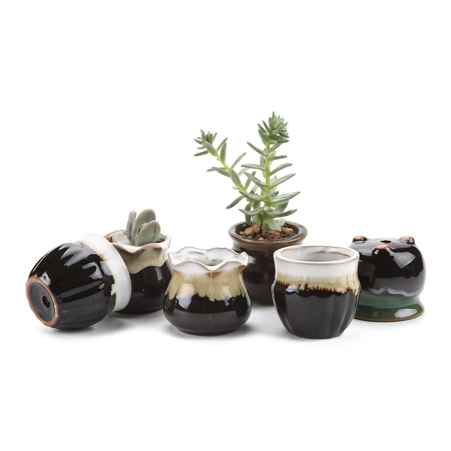 

T4U 2.5 Inch Ceramic Flowing glaze Black Base Serial succulent Plant Pot Cactus Flower Pot/Container/Planter Pack of 6pcs