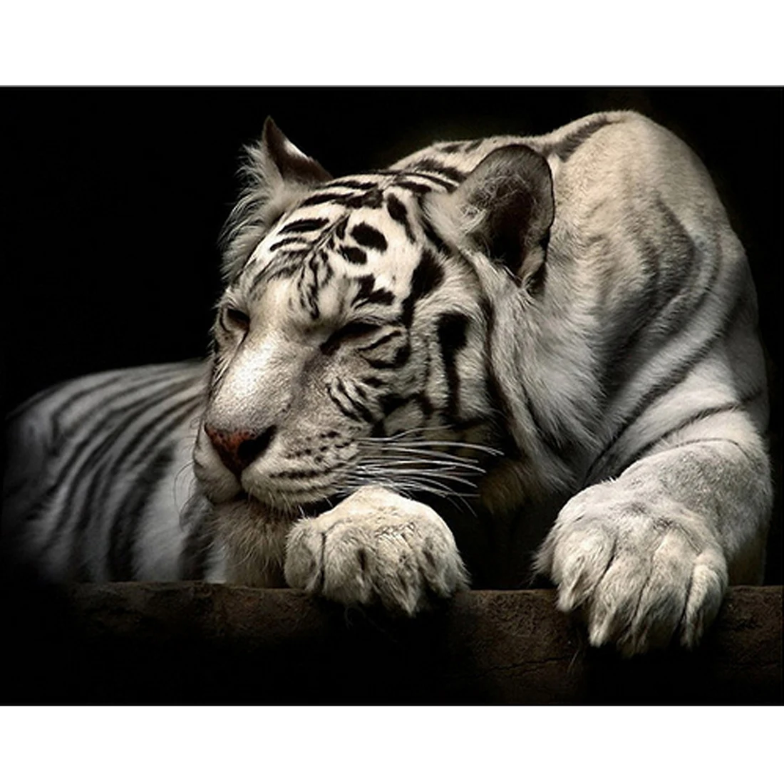3025 Cm DIY Berlian Bordir Cross Stitch Kesepian Harimau Berlian