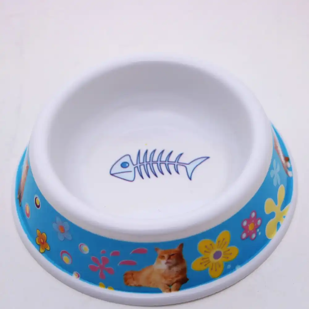 fish cat bowl