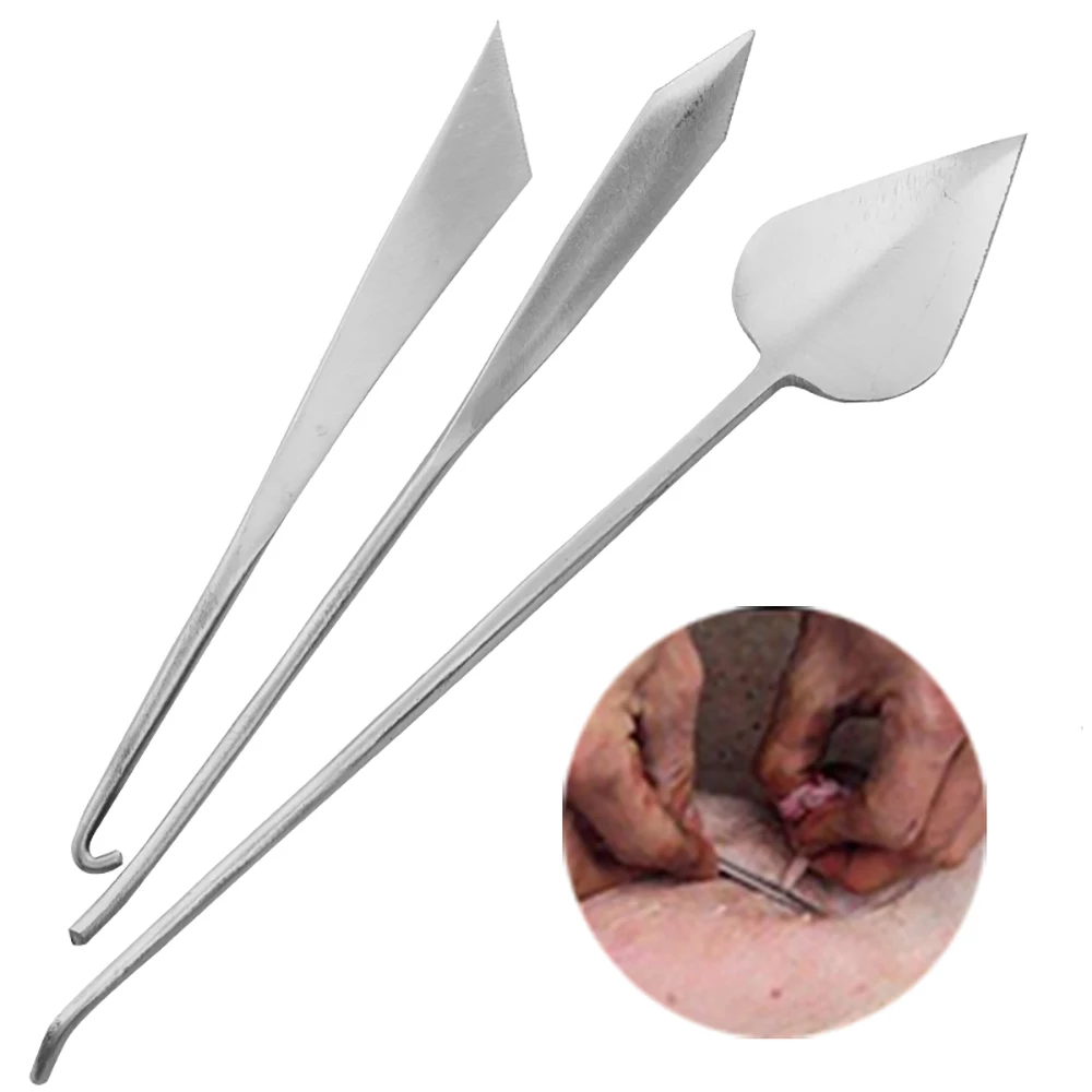 

1PCS piglet boar castration knife lancet peach-shaped emasculate diagonal sow castrate tools veterinary equipment instrument
