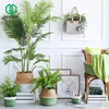 Garden Supplies