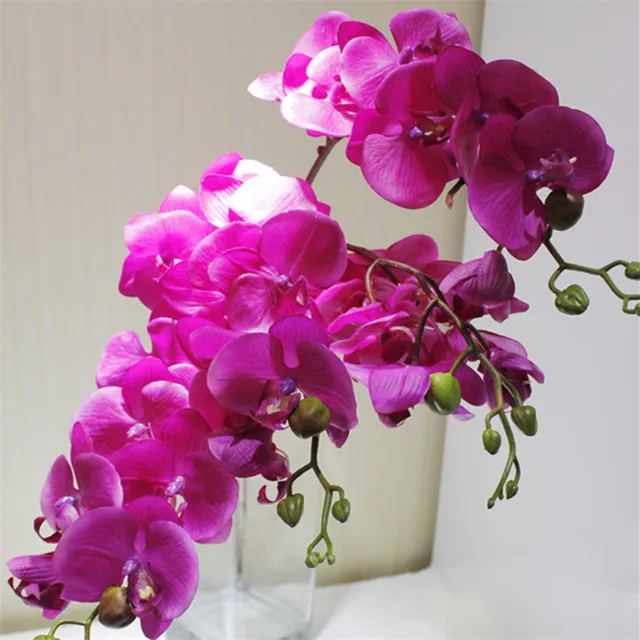 6p Real Touch Orchids Erfly Phalaenopsis White Fuchsia Pink 6p Real Touch Orchids Erfly Phalaenopsis White Fuchsia Pink Artificial Latex Orchid Flowers For
