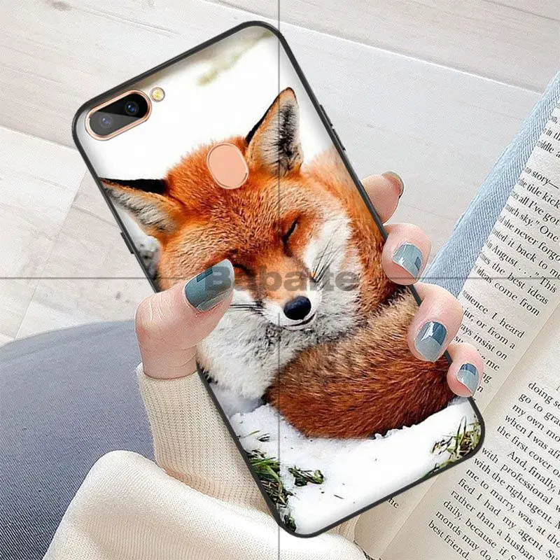 Fox Glasses Universe