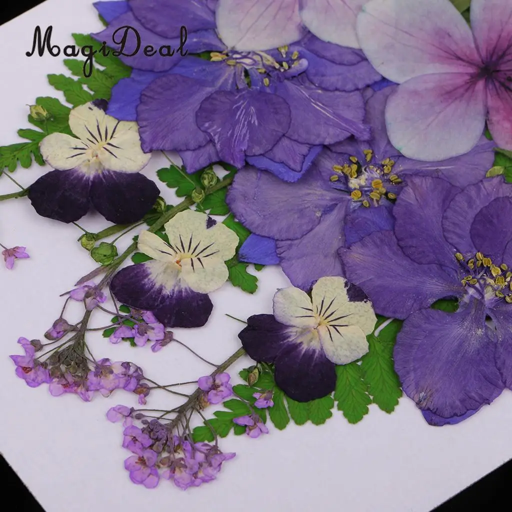 Beautiful Multiple Real Pressed Leaves Natural Dried Flowers for Art Craft Scrapbooking Card Making  Resin Jewelry Craft DIY