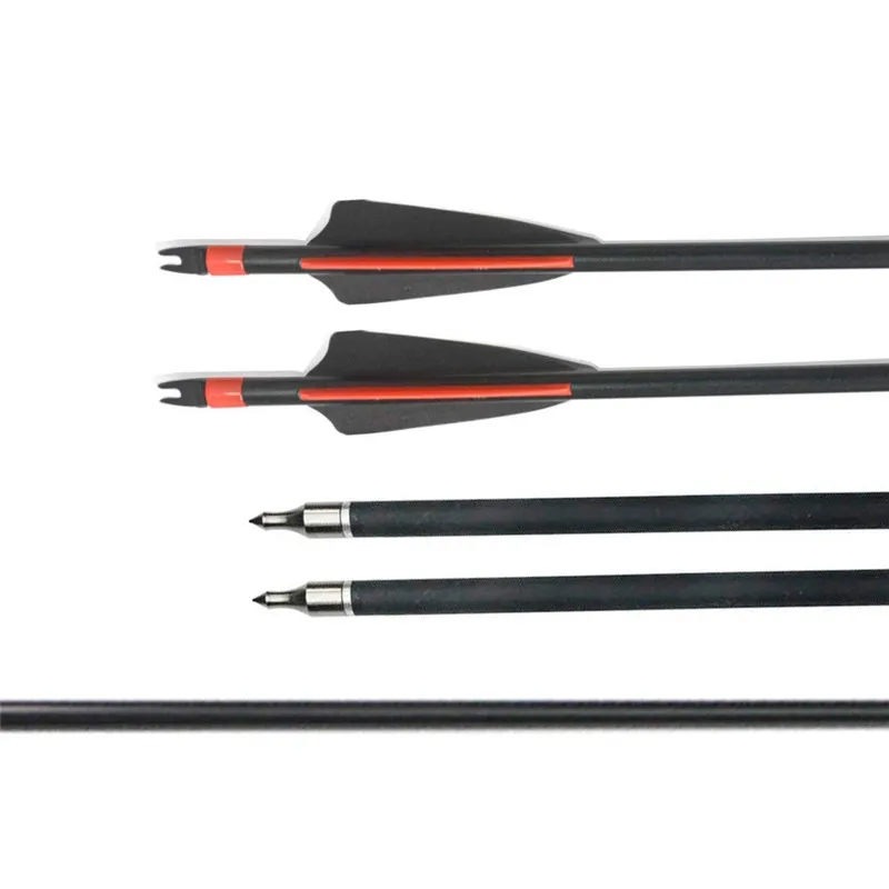 51sxLzPTXhL._SL1000_