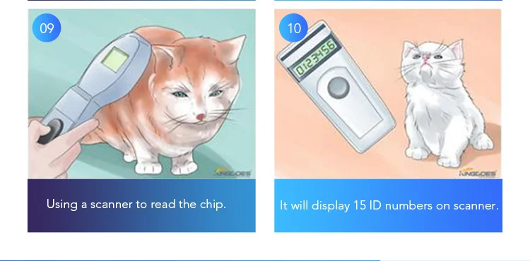 16 cat microchip kit