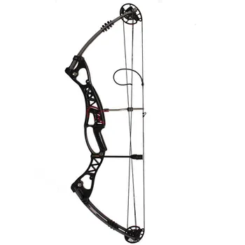 

Compound Bow and Arrow BLACK Bare Bow 40-60 Pounds Shooting Archery and Hunting Equipment