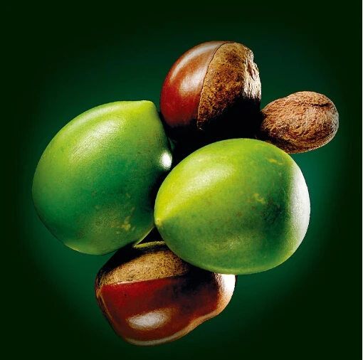 Online 0.5 Kilo organik murni Shea butter, Dimurnikan segar impor dari Africa