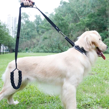 

Big Dog Elastic Leash 2 Handle Anti Pull Shock Rope Anti-slip Buckle Safe Bungee Training Leash Pet Outdoor Walking Accessories