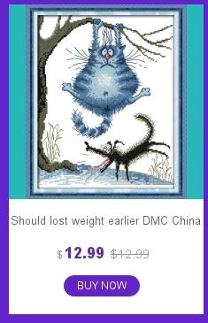 dianxiaobao