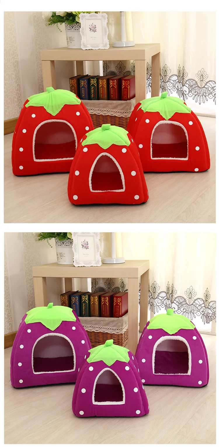 4600992054_1151446414