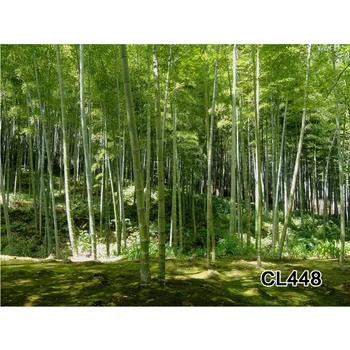 

LB Polyester Bamboo Forest Custom Backdrop Background Photography Studio Props Photographic Seamless Washable No Crease