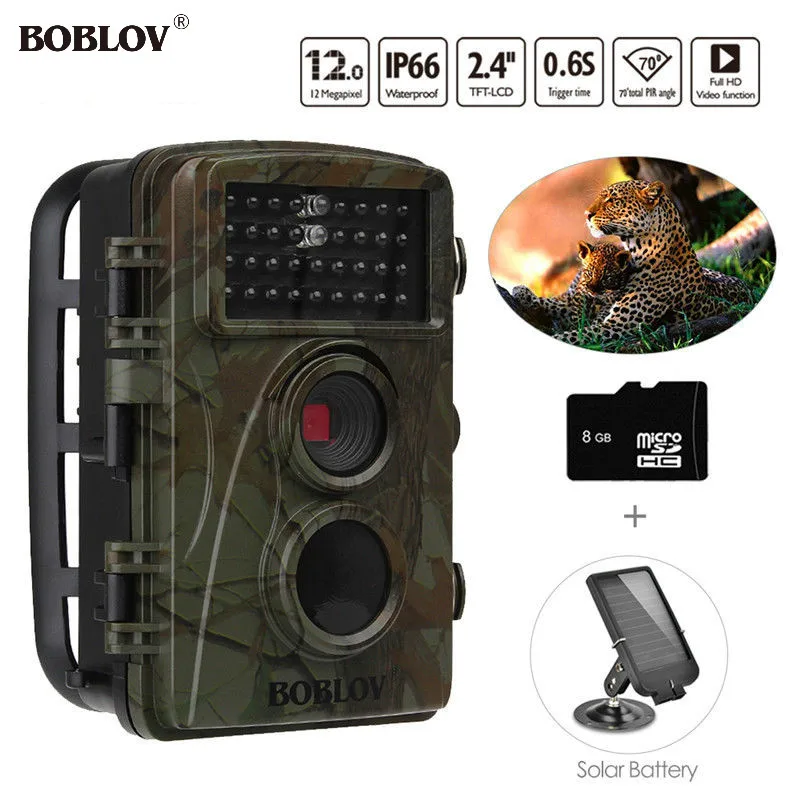 motion detector wildlife camera