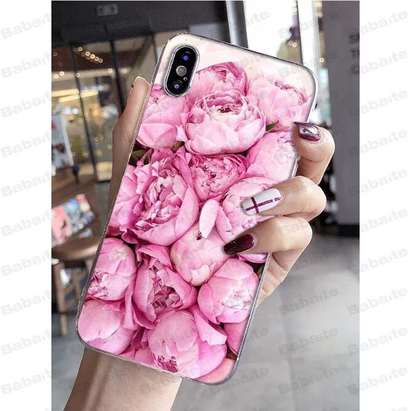 Pink Purple Peony