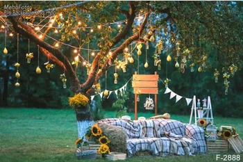 

Gold Light Tree Sunflower Sofa Grass Theme backdrop Vinyl cloth High quality Computer print party photo studio background
