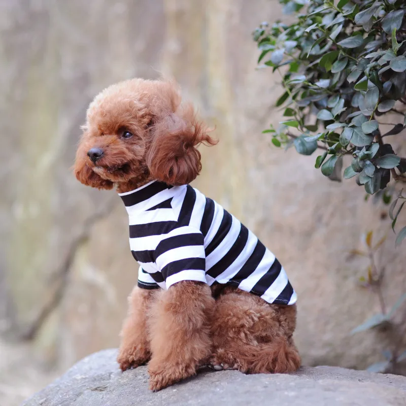 

HU Warm Stripe Shirt Pet Dog Clothes White Blue Striped Cotton T-shirt Chihuahua Poodle Yorkie Clothes Puppy Clothing Supplies