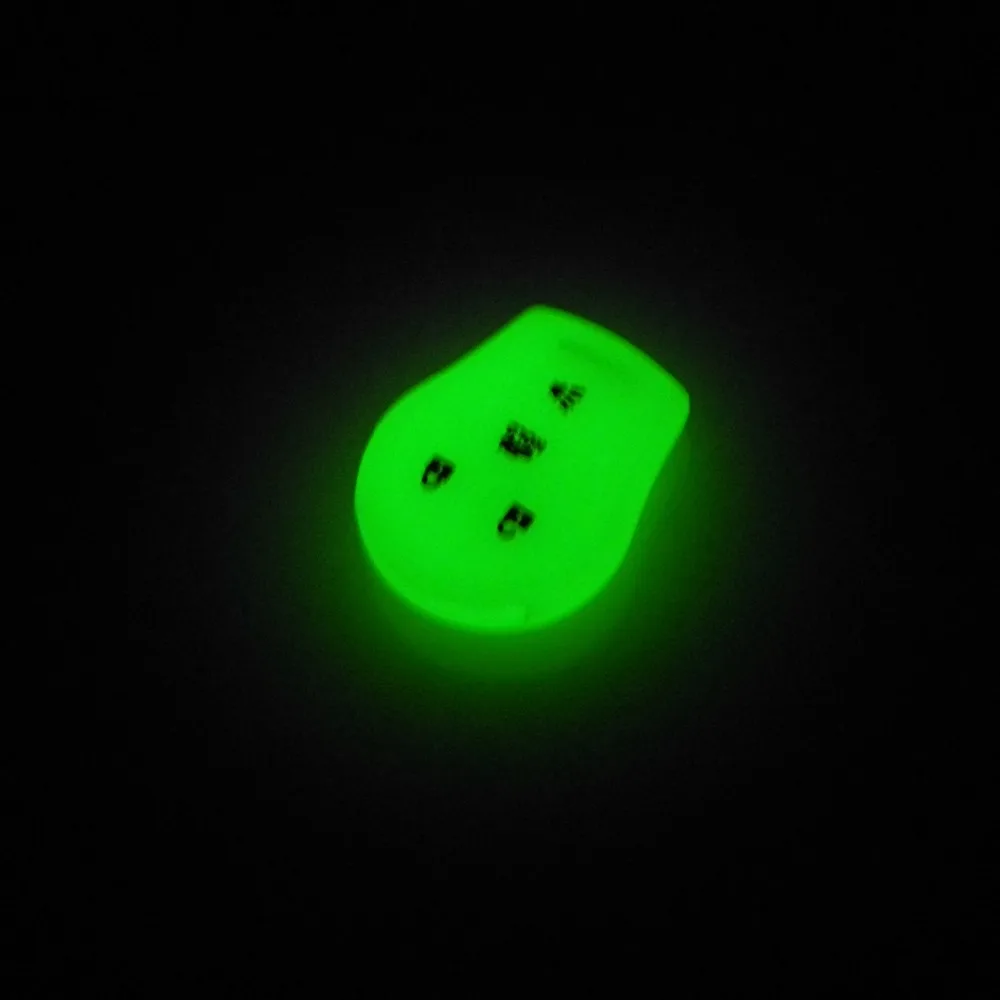 DSCN9999