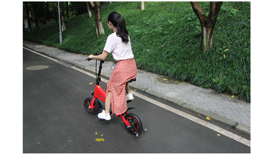 Excellent ALTRUISM A1 36V*350W Electric Bicycle Cycling Watertight Frame Inside Li-on Battery Folding ebike 17