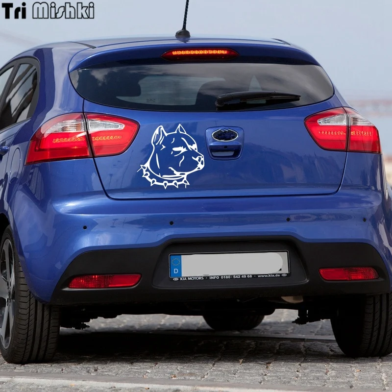 kia rio (6)_