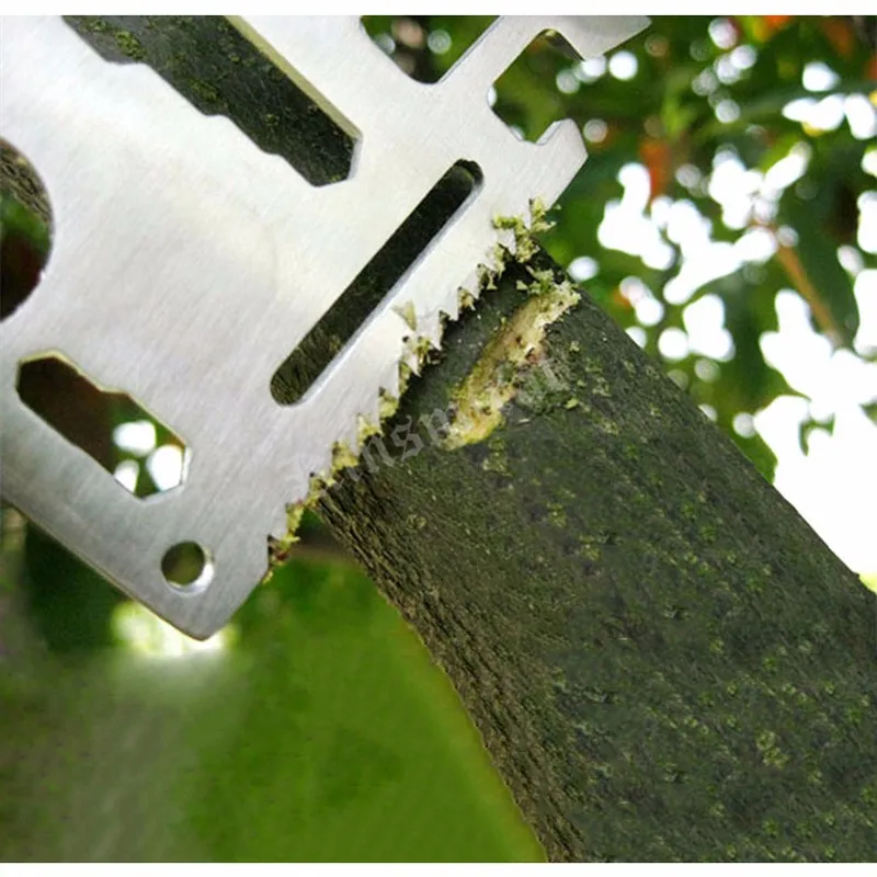 HTB1hmvxLXXXXXbHXFXXq6xXFXXXaad