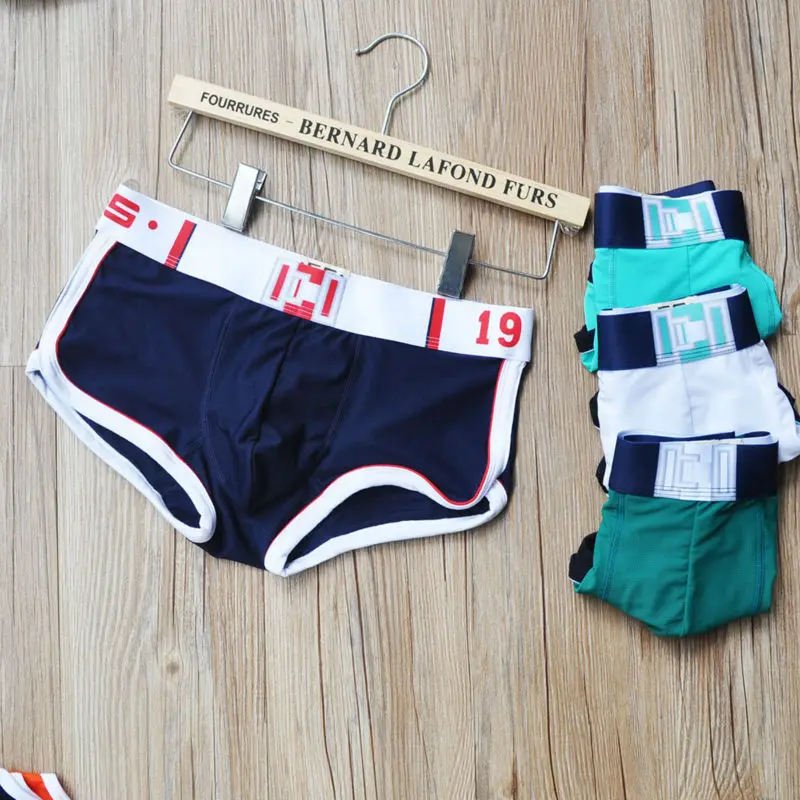 

2pcs Men's Mesh Underwear Polyester Calzoncil Sexy Translucent Men Boxer Fashion Short Trunks Boxers Breathable Antibacterial