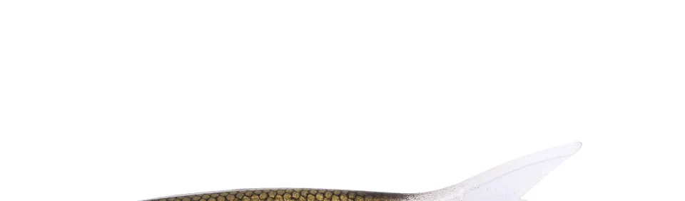 _11