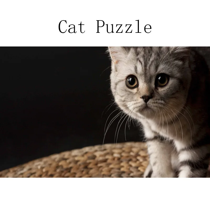 

DDWE Family Pet Cat 1000 pieces adult cartoon children's Day Gift Educational toys Decompression custom Gifts Home Decoration