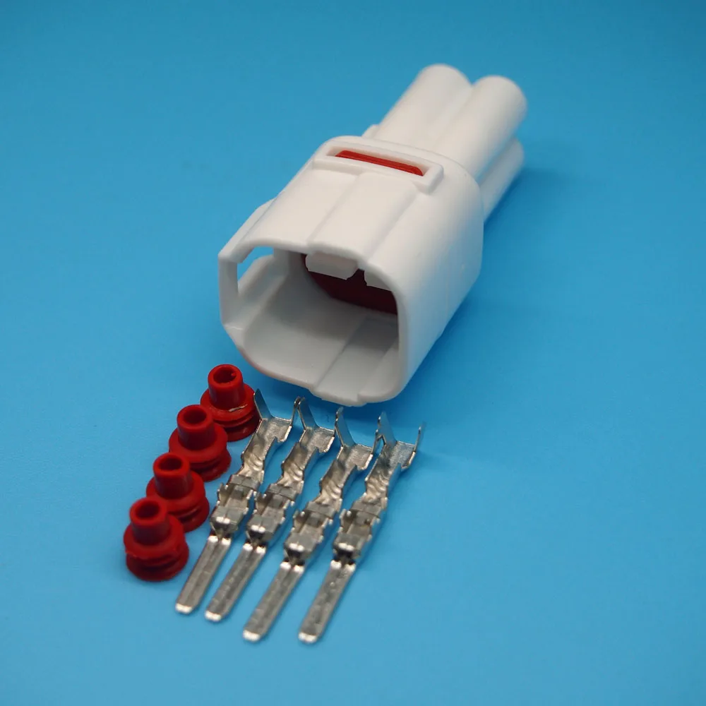P1010020