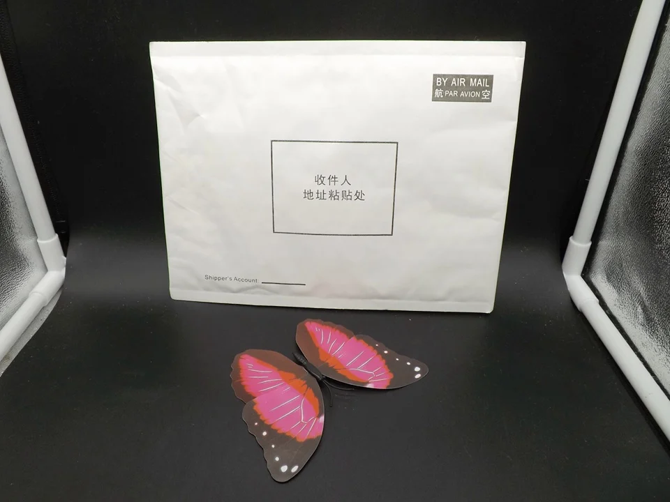 I235-Butterfly (13)