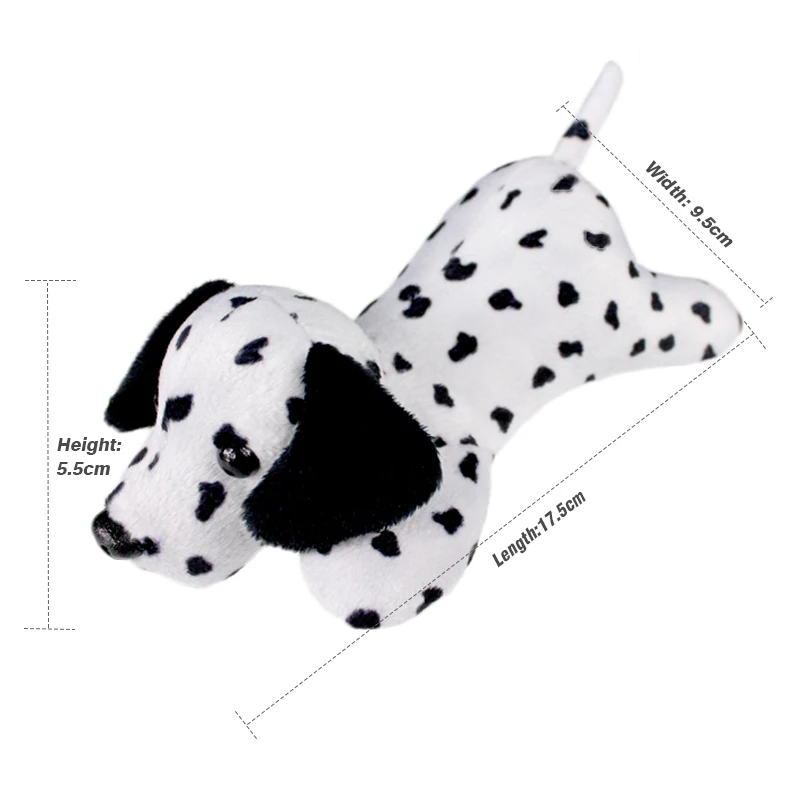 dalmatian dog_size
