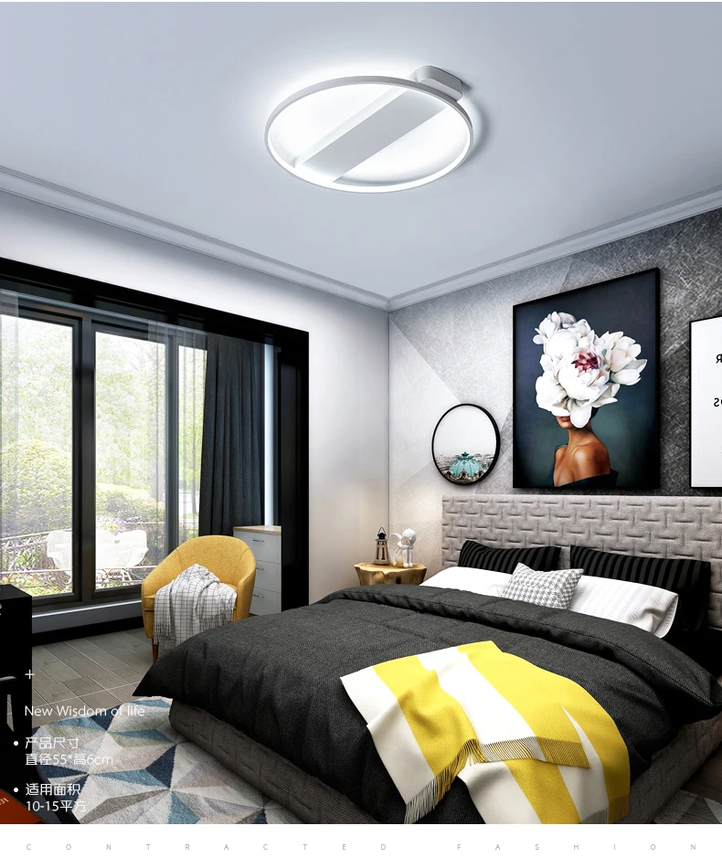 modern led lamp ceiling light fixtures 4