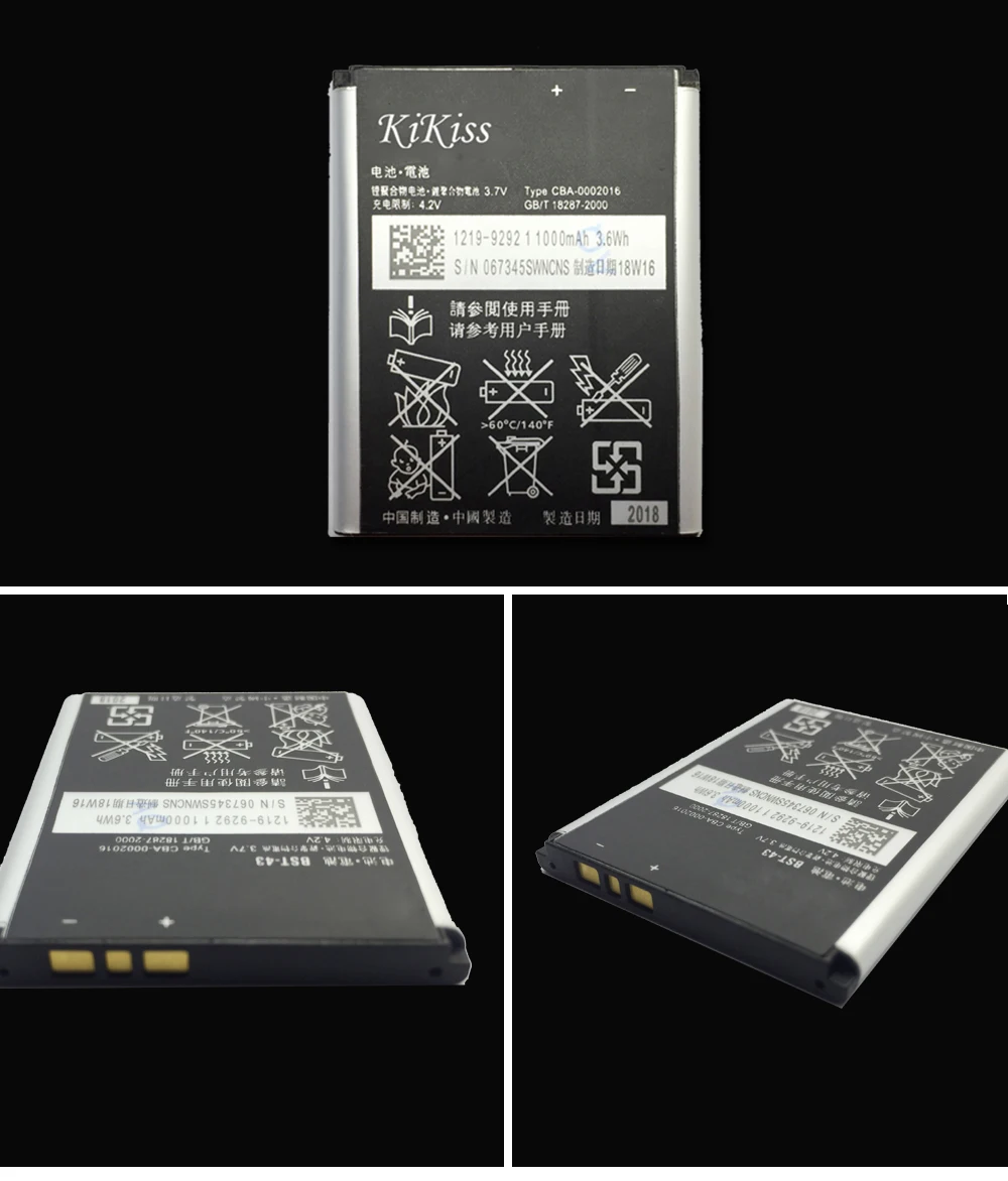 CSlogo sony BST-43   (4)