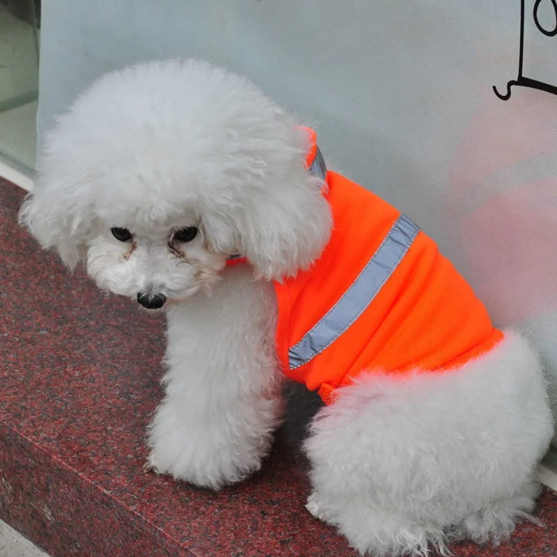 Fluorescent High Visibility Dog Clothes Waterproof Luminous Pet