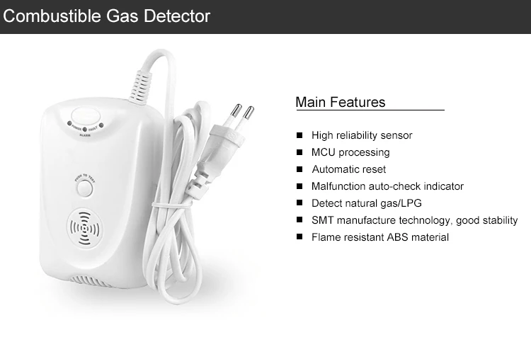 Standalone Gas Detector