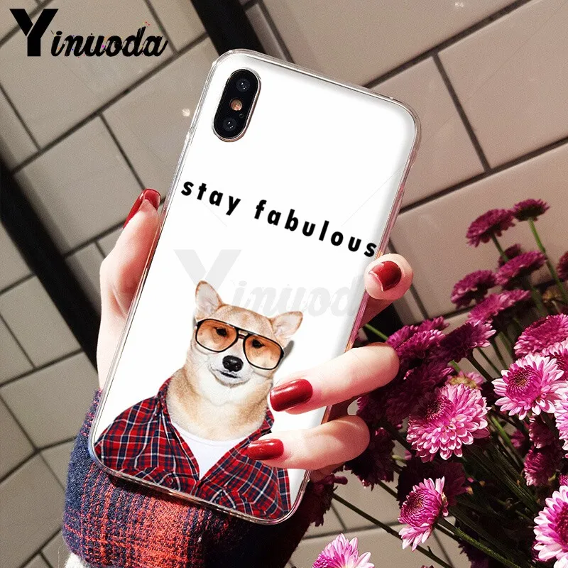 Animal Shiba Inu