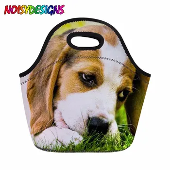 

Beagle Dog Pattern Lunch Bag Thermal Lunch Box Women Handle Bags Tote Storage for Kids Girls Lancheira Escolar Bolsos Mujer
